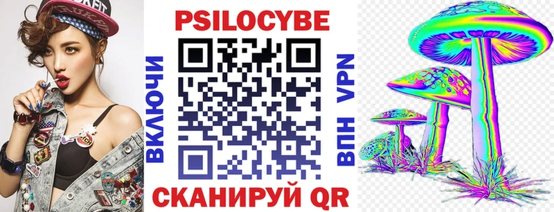 Галлюциногенные грибы Psilocybe Краснознаменск