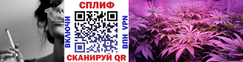 сайты даркнета состав  купить  сайты  Краснознаменск  Шишки марихуана сатива 